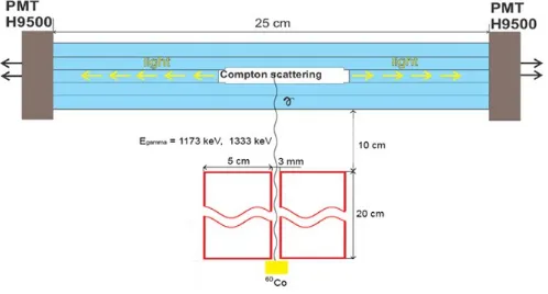Figure 1: A scheme of the measurements with the NeuRad prototype. The prototype wasirradiated by a collimated γ-source 60Co