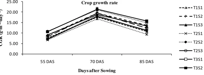 Figure 1. Effect of tillage practices and sowing methods on leaf area per plant. 