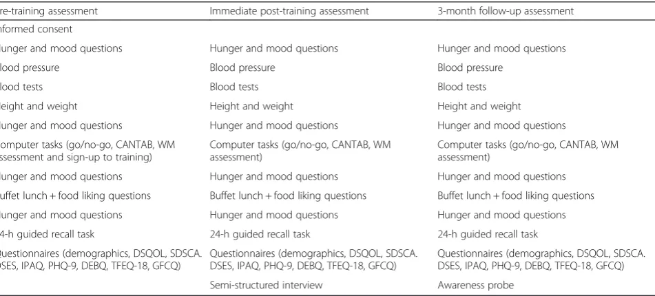 Table 1 Measures used at each time point and the order in which they are used