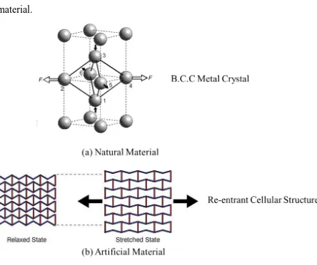 Figure 1-2: Auxetic materials (a) Natural (b) Artificial. 