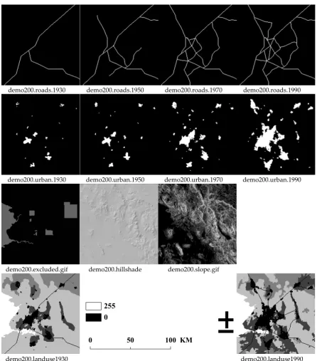 Figure 1. The input maps of demo200 with size of 200×200 
