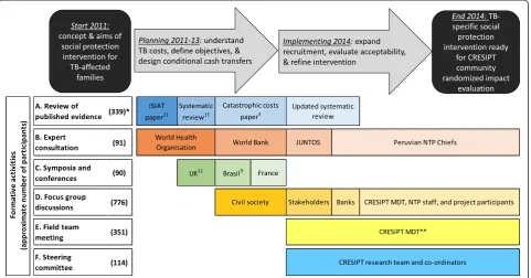 Fig. 2 Flow diagram of CRESIPT project activities during planning, implementation and refinement of the social protection intervention
