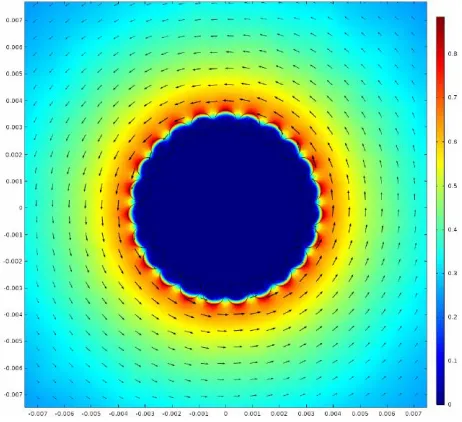Figure 4 shows the results on magnetic induction obtained with the simpler mesh. 