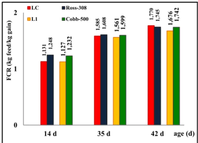 Figure 3. FCR in broiler chickens from experience  compared to the standard values for hybrids  