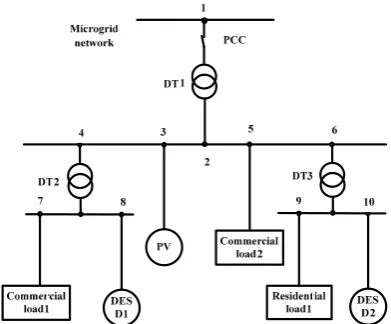 Figure 7 Structure diagram of MG with multiple types of load 