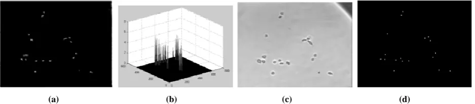 Figure 2. Extended h-maxima transformation (a) Original Image (b) extended h-maxima transform with h =20 