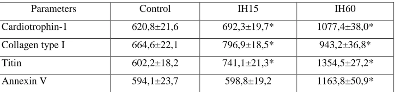 Table  2  –  The  content  of  immunoreactive  material  to  markers  of  the  left  ventricular  myocardium remodeling in the rats with experimental hypoxia, (М±m) 