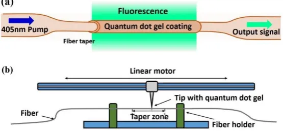 Figure 1. (a) The schematic diagram of the RH sensor; (b) The schematic diagram of the home-made coating system