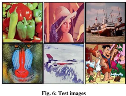 Fig. 6: Test images 
