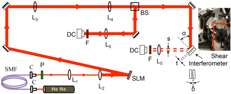 Figure 6. Apparatus used to make the measurements. Components include spatial light modulator(SLM) lenses (LThe diagram also shows the relevant parameters of the interferometer: the angle of incidencei), ﬁber collimators (C), single-mode ﬁber (SMF), beam s