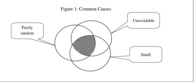 Figure 1: Common Causes 