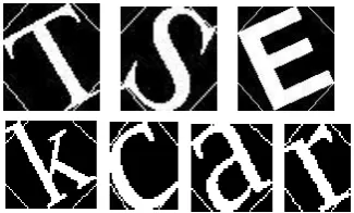 Fig 5 show few sample characters used for detection of tilt directions based on heuristic decision rules specified in this section