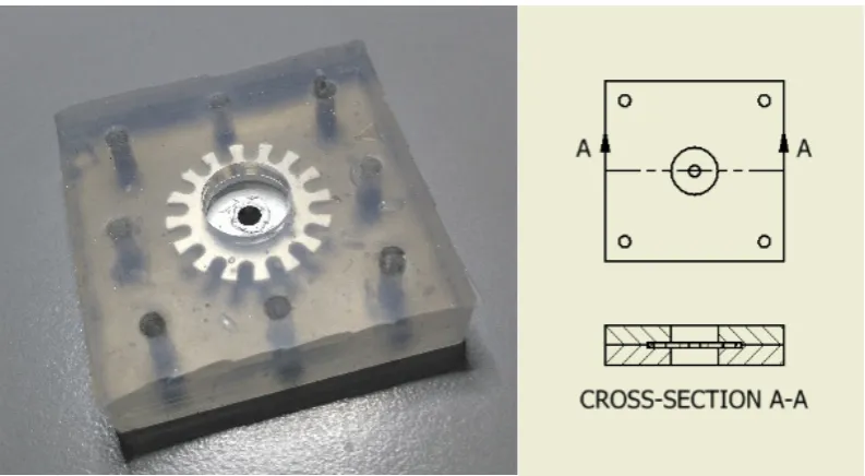 Figure 3. Polymer with encapsulated movement carrier version 1 