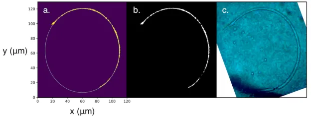 Figure 6: Trackbackground eradication. c.) Photo at 1000x using Leitz PL 100x lee2, n = 2.75