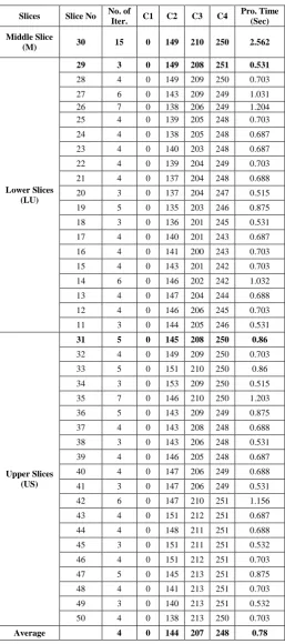 Table 2. Performance of FCM-EXPERT-E for vol 5 of IBSR 
