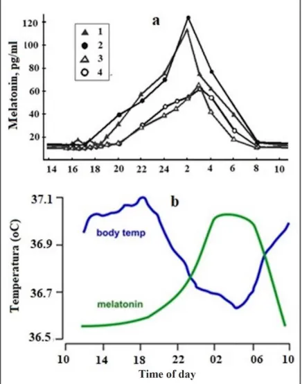 Figure 7. (a) the content of melatonin in blood plasma at different times of the day: 1, 2 -  boys and girls; 3, 4 - elderly men and women, from [95]