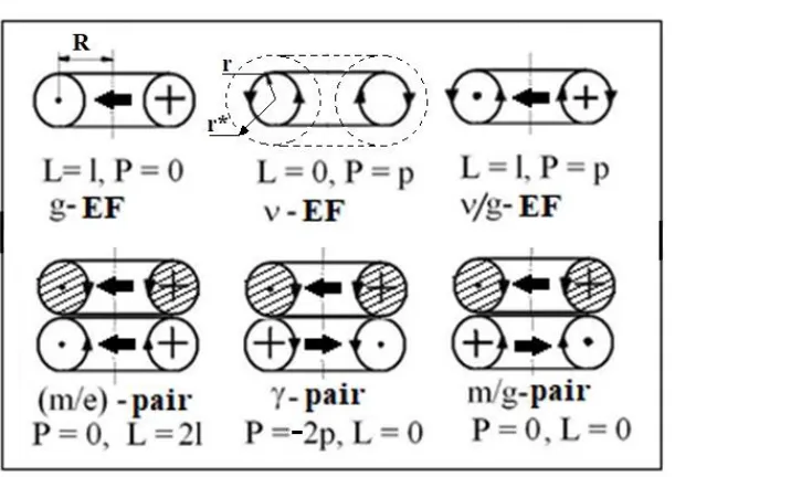 Figure 1. Vortex energoform models. Р - impulse, L - moment of impulse, left vortices shaded: g-EF - rotating element of the ether; ν-EF - an element moving progressively; ν/g-EF - the element is moving rotationally-progressively; γ-pair - self-moving elem