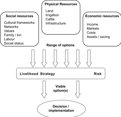 Fig. 1: Interaction of resources, risk and livelihood strategy in the household decision- decision-making process