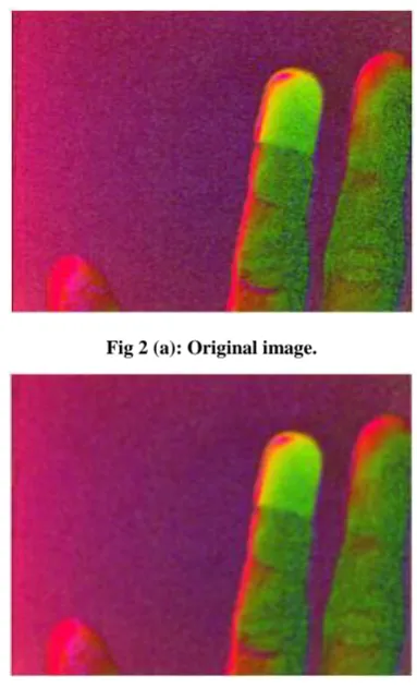 Fig 2(b): After Gaussian blur, shows increase in area of the pixels. 
