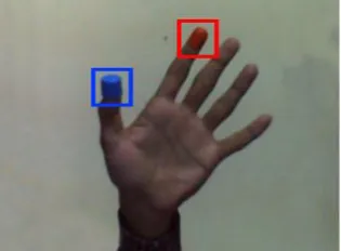 Fig 4: Detected Blobs 