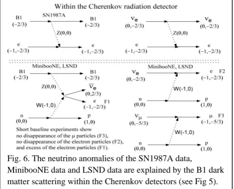 Fig. 6. The neutrino anomalies of the SN1987A data, MinibooNE data and LSND data are explained by the B1 dark 