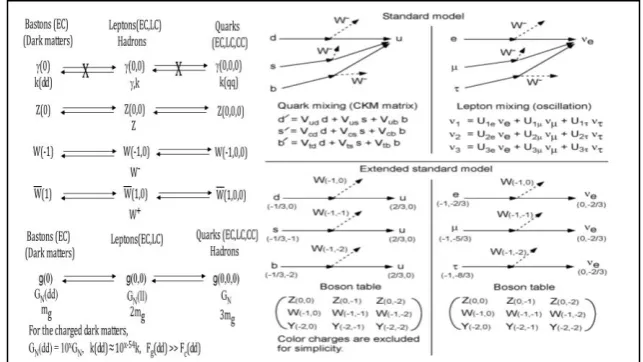 Fig. 1. Charged dark matters, leptons, quarks and hadrons are compared [1]. The non-zero rest mass of a graviton is mg for the dark matters