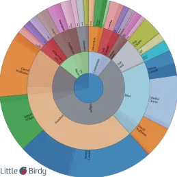 Fig. 3 Advanced Wheel Chart for the BGT data set.