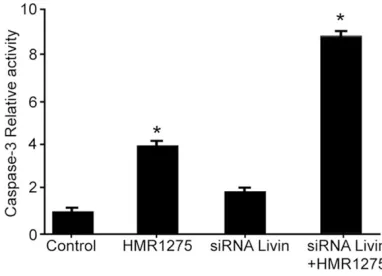 Figure 6. Down-regulation of Livin promoted HMR- 1275 (flavopiridol)-induced apoptosis