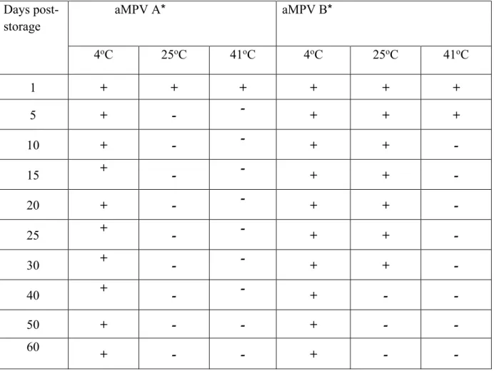 Table 2. Shows the stability of RNA on the FTA card/RT PCR