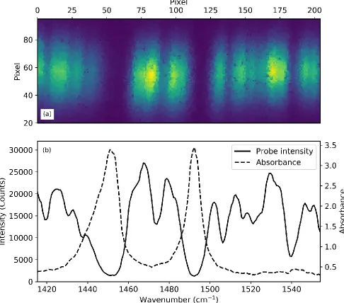 Figure 10.  (a) Image showing the section of the micro-bolometer array illuminated by the infrared light with a 38 µm polystyrene sample in the beam