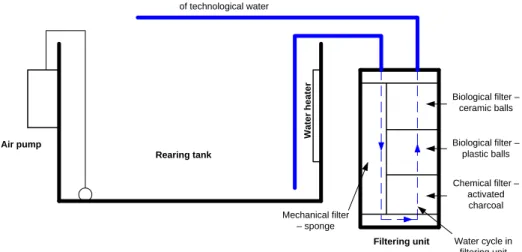 Figure 1. Rearing system scheme used in the experiment (filter system in the right)  At the start of experiments, rearing system was 