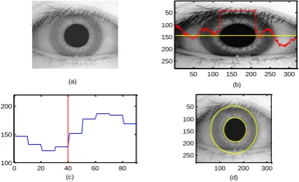 Figure 4 IrisPattern (a) Iris with IrisPattern (b) Isolated IrisPattern 