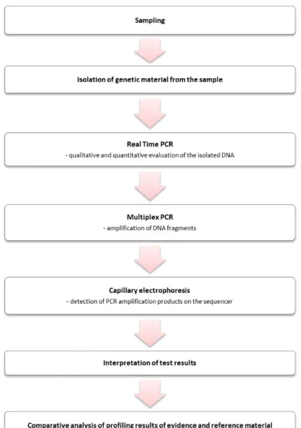 Figure 1. Schematic diagram of the DNA analysis process.