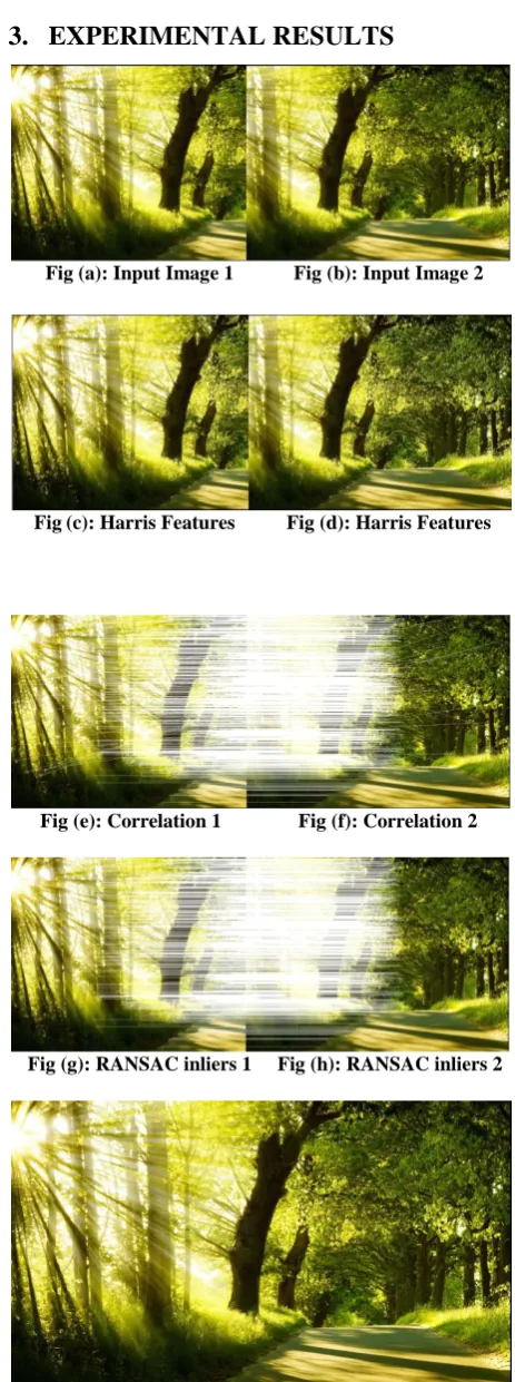 Fig (e): Correlation 1         Fig (f): Correlation 2 