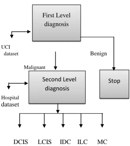 Fig 2: Process of diagnosis of breast cancer 