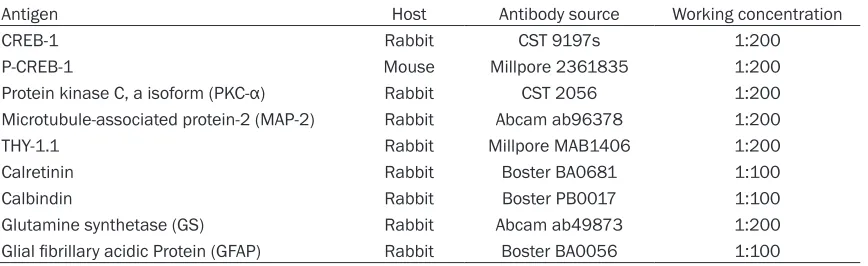 Table 1. List of primary antibodies used in this study