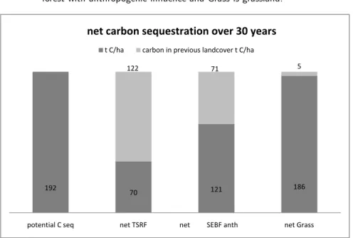 Figure 3: Carbon sequestration by rubber grown below 800 masl. over a period of 30 years in Yunnan province, compared to net carbon sequestration considering the release of CO 2 during plantation establishment