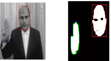 Fig. 1: (a) An example of Sij (b) removes noise by the 5×5 filter. 