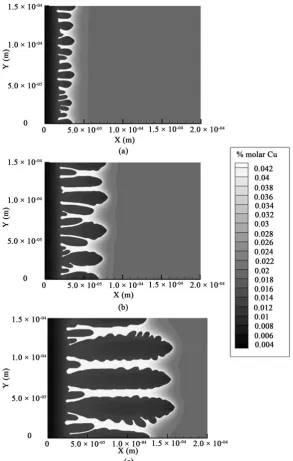 Figure 6. Simulation of the advancing of the columnar front with a cooling rate of 0.005 K/s
