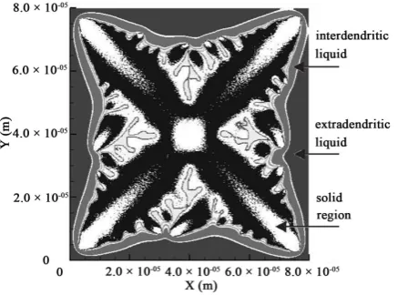 Figure 1. Schematic illustration of a dendrite envelope.        