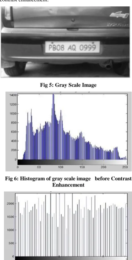 Fig 5: Gray Scale Image 