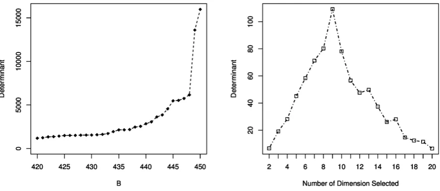 Figure 2. (left) Tail of sorted determinants in high dimensional ( )bsub, where B = 450