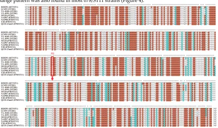 Figure 4. Sequences comparisons of cdtR among Clostridium difficile strains discussed in this study