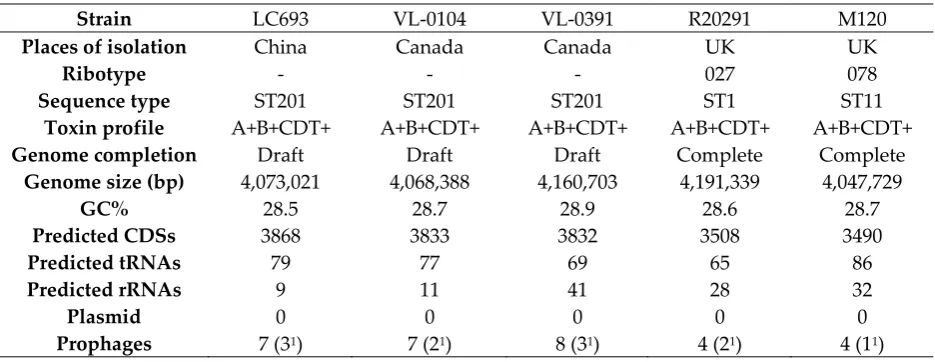 Table 1. General features of C. difficile genomes 