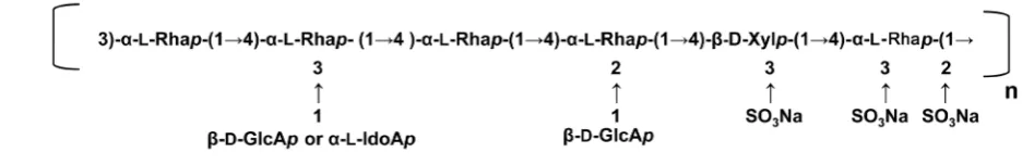 Figure 7. The structure of ulvan from Ulva fertusa. 