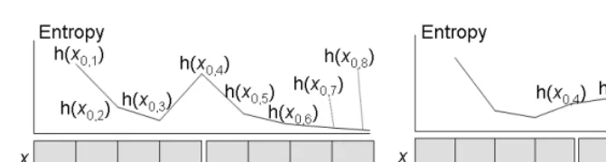 Fig. 3. Our model for boundary detection based on the entropy of branching