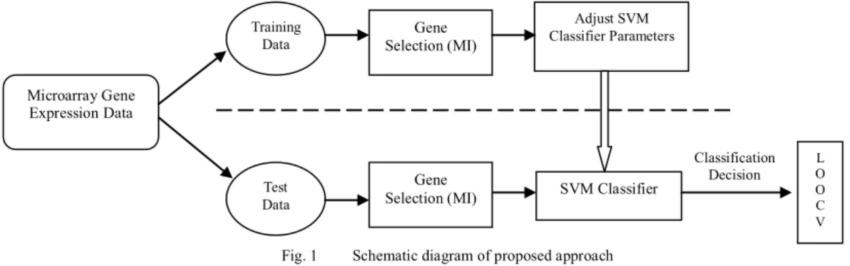Fig. 1  Schematic diagram of proposed approach 