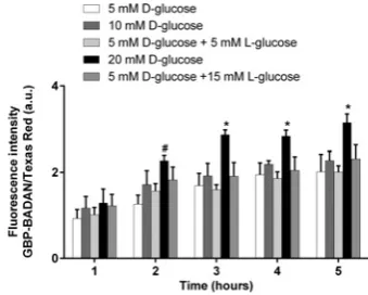 Figure 3Determination of glucose concentrations in ASL