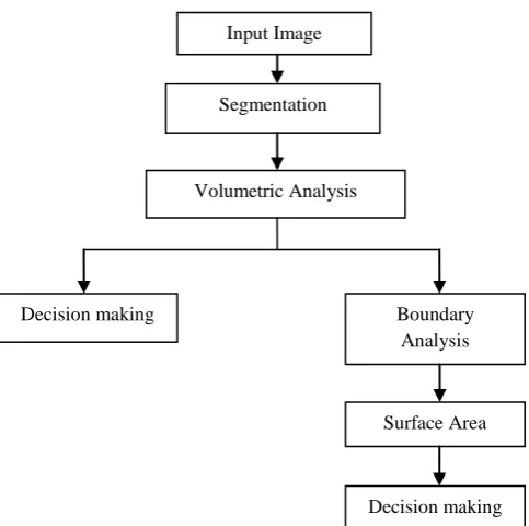 Fig 1: Flow chart of Classification of Surface Area 