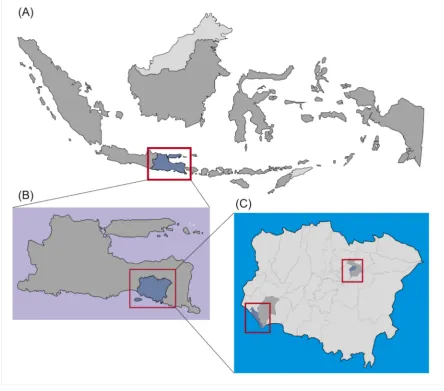 Figure 1 Map of study area, (A) Province of East Java relative to Indonesia, (B) Jember District relative to Province of East Java, (C) Gumukmas (lower) and Sumbersari (upper) Subdistrict